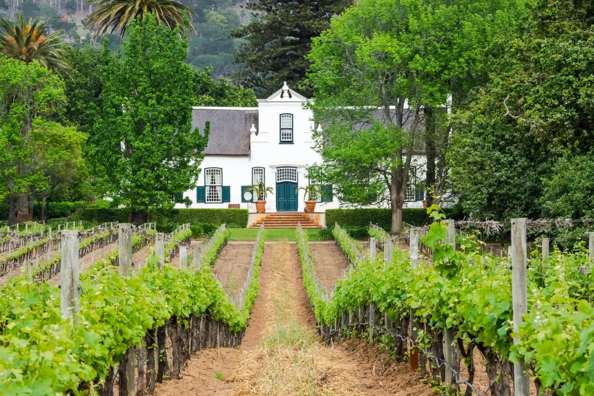 Cape Winelands properties and landscape